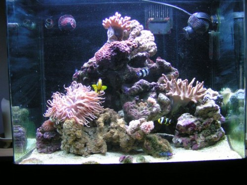 PICT0006.JPG