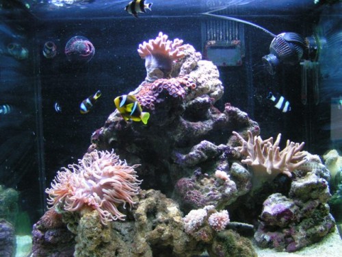 PICT0054.JPG