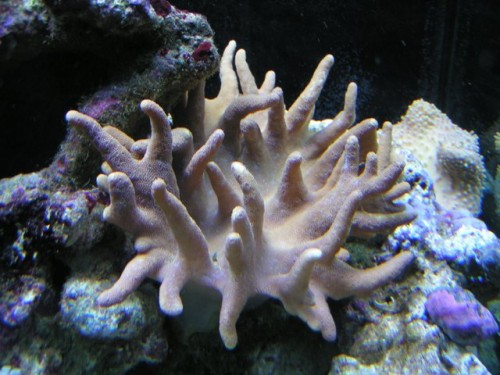 PICT0027.JPG
