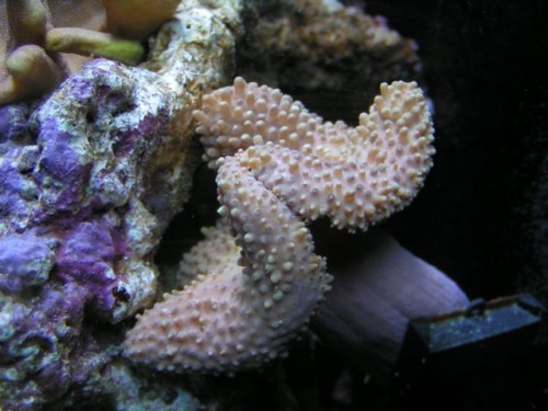 PICT0044.JPG