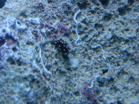 DSC05859.JPG