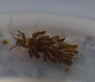 DSC01773.JPG