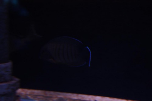 IMG_1844.JPG