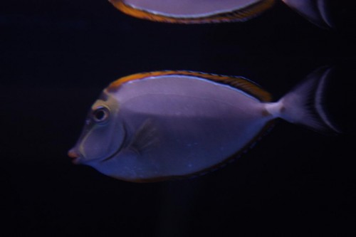 IMG_1842.JPG