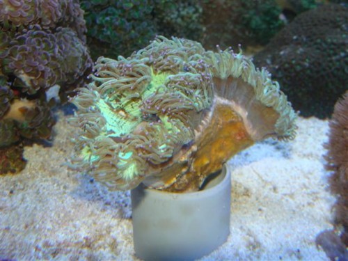 DSC01112 (Small).JPG