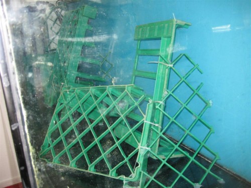 530'er 004 (Large).jpg