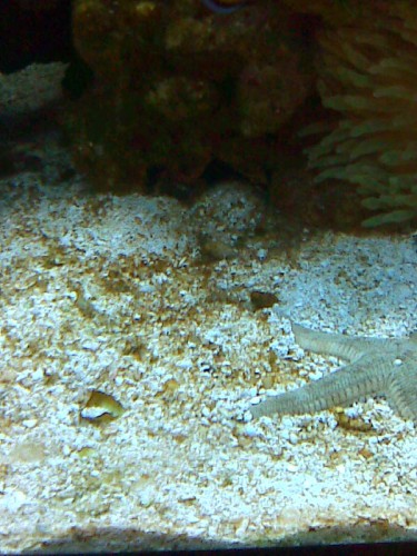Billede0060.jpg