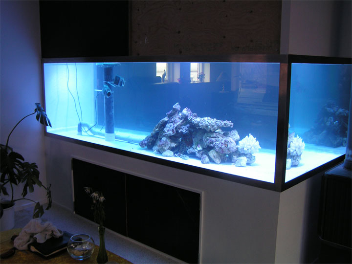 PICT0014.jpg