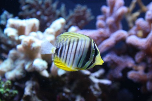 IMG_3539.jpg