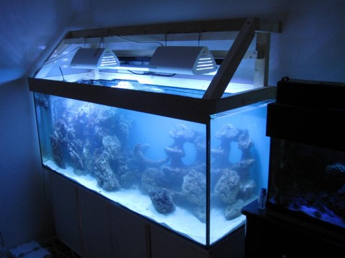 Billede 026 (Large).jpg