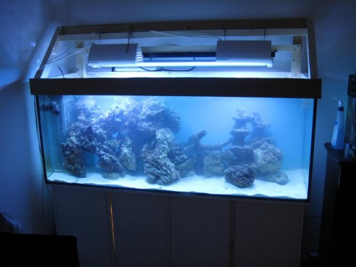 Billede 025 (Large).jpg
