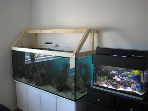 Billede 020 (Large).jpg