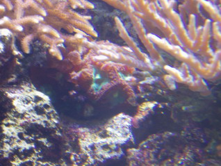 P1010011_resize.JPG