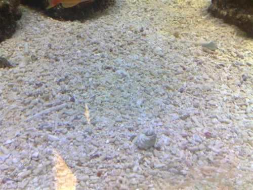 sand1.jpg