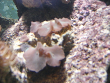 DSC06114.JPG
