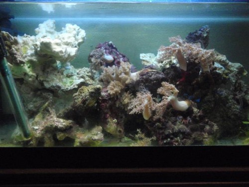 akv update 022 (Small).jpg