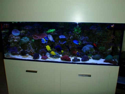 akv update 023 (Small).jpg