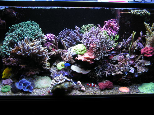 forum pic 105.jpg