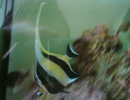 DSC00027.JPG