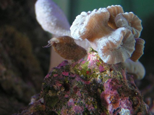 pict0023.JPG