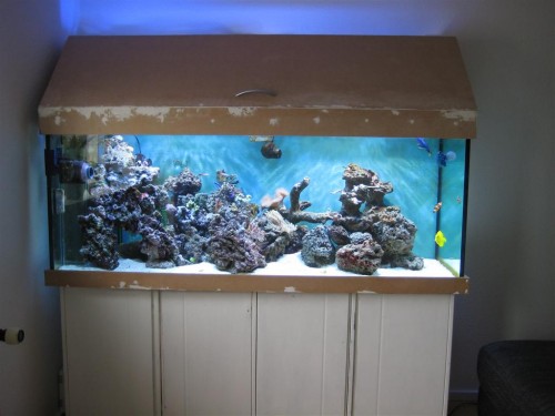 530'er 001 (Large).jpg