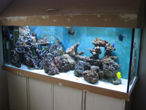 530'er 009 (Large).jpg