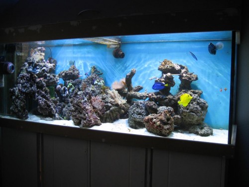 530'er 001 (Large).jpg