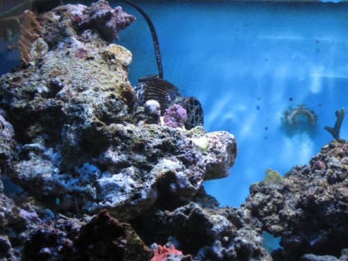 530'er 003 (Medium).jpg
