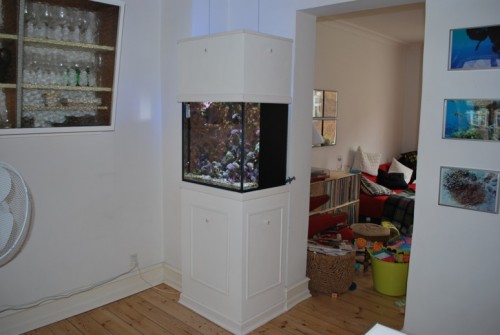 Akvarium med børnerod.jpg