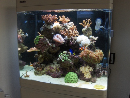 HPIM0745.JPG