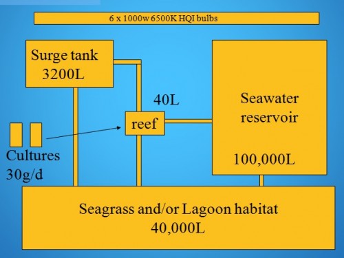 ideal tank1.jpg