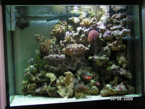 PICT3059.JPG