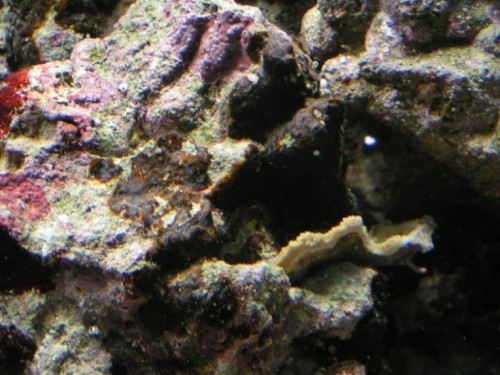 PICT0005.JPG
