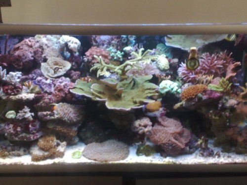 Mit 250L.