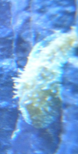 PA110345.JPG