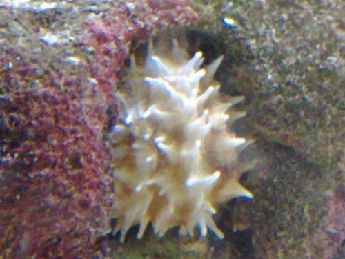 121020092438.jpg