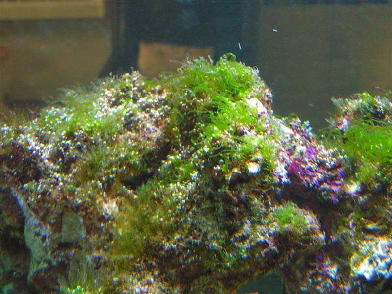 PICT0067.jpg