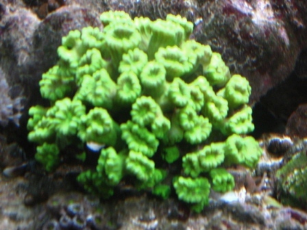 IMG_7300.JPG