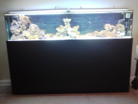 DSC00892.JPG