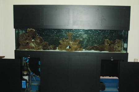 DSC_0033.JPG