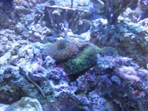 IMG_0842.jpg