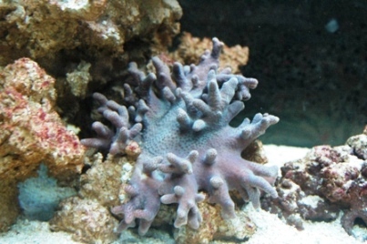 DSC_0038.JPG