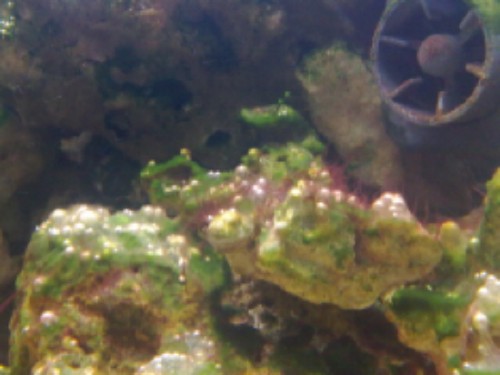 28112009195.jpg
