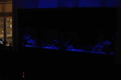 DSC_0052.JPG
