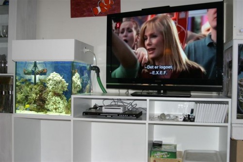 Akvarie-TV bord 1 001 (Medium).jpg