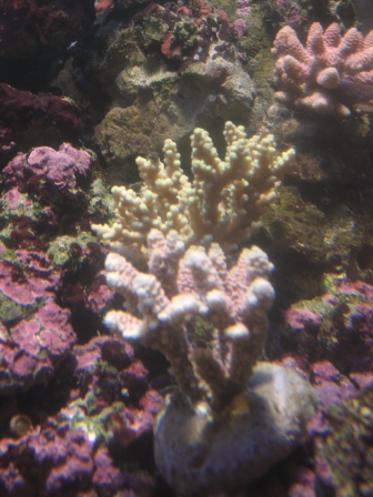 IMG_7479.JPG