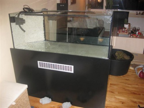 billede 243 (Small).jpg