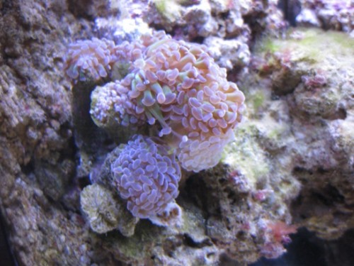 IMG_0917.jpg