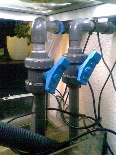 Billede045 (Medium).jpg