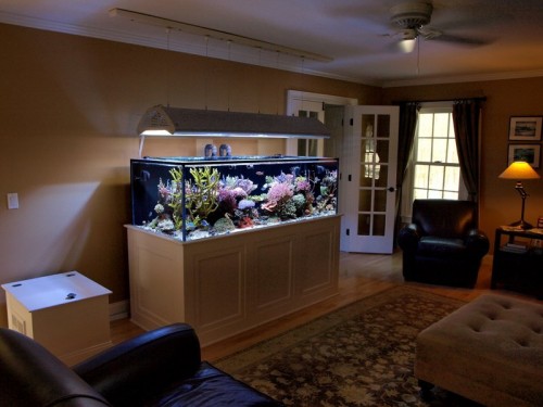 mijan252009tankpic4a.jpg
